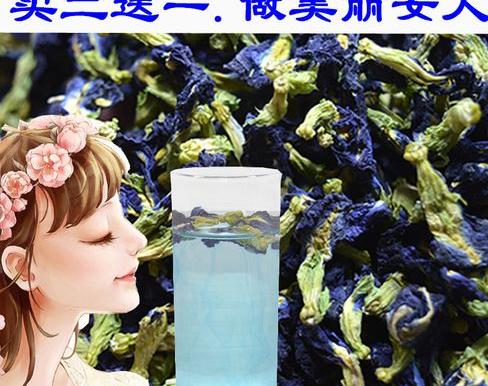 蓝蝴蝶花茶的功效应该用多少度的水 (图2)
