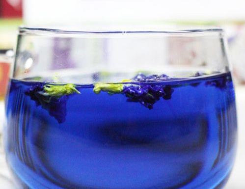 蓝蝴蝶花茶的功效应该用多少度的水 (图1)